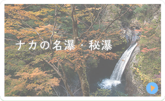 こんなメンバーです