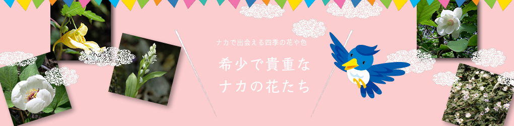ナカの温泉と宿泊施設