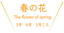 温泉施設のご紹介