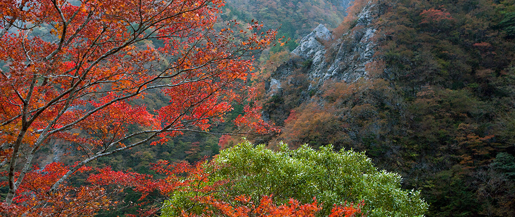 header010.jpg