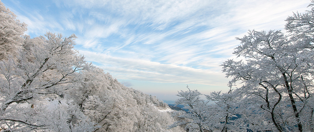 header011.jpg