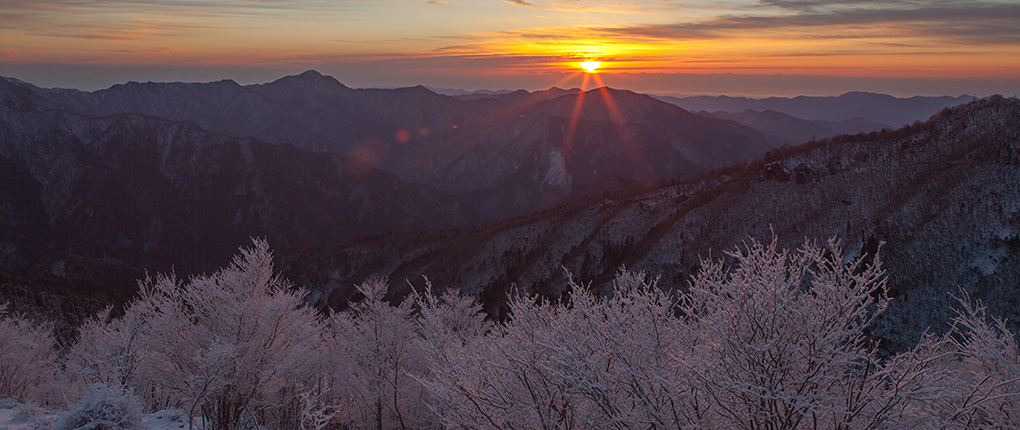 header012.jpg
