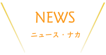 活動レポート